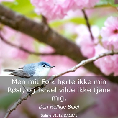 Picture 03 - Salme 81:12 DA1871 - Men mit Folk hørte ikke min Røst, og Israel - Bible Verse Picture