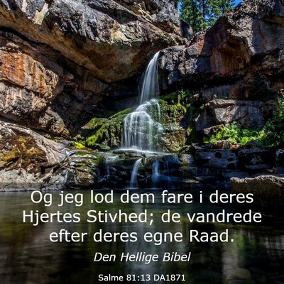 Picture 03 - Salme 81:13 DA1871 - Og jeg lod dem fare i deres Hjertes Stivhed; de - Bible Verse Picture