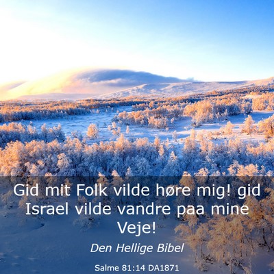 Picture 03 - Salme 81:14 DA1871 - Gid mit Folk vilde høre mig! gid Israel vilde - Bible Verse Picture