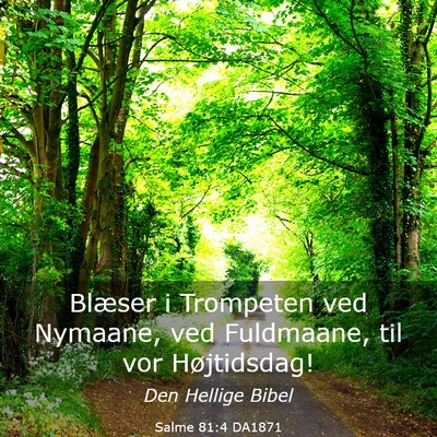 Picture 03 - Salme 81:4 DA1871 - Blæser i Trompeten ved Nymaane, ved Fuldmaane, - Bible Verse Picture