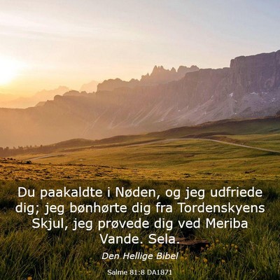 Picture 03 - Salme 81:8 DA1871 - Du paakaldte i Nøden, og jeg udfriede dig; jeg - Bible Verse Picture