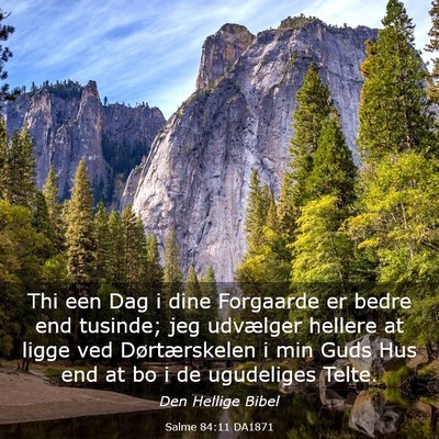 Picture 03 - Salme 84:11 DA1871 - Thi een Dag i dine Forgaarde er bedre end - Bible Verse Picture