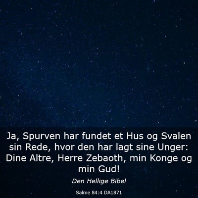 Picture 03 - Salme 84:4 DA1871 - Ja, Spurven har fundet et Hus og Svalen sin Rede, - Bible Verse Picture