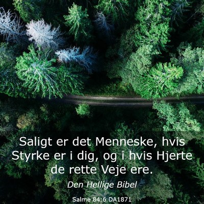 Picture 03 - Salme 84:6 DA1871 - Saligt er det Menneske, hvis Styrke er i dig, og - Bible Verse Picture