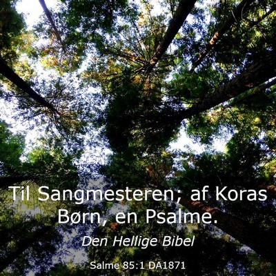 Picture 03 - Salme 85:1 DA1871 - Til Sangmesteren; af Koras Børn, en - Bible Verse Picture
