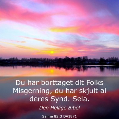 Picture 03 - Salme 85:3 DA1871 - Du har borttaget dit Folks Misgerning, du har - Bible Verse Picture