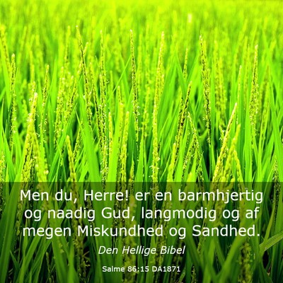 Picture 03 - Salme 86:15 DA1871 - Men du, Herre! er en barmhjertig og naadig Gud, - Bible Verse Picture