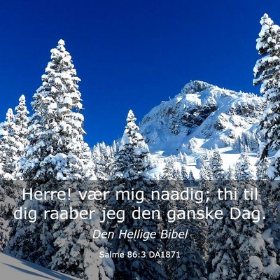 Picture 03 - Salme 86:3 DA1871 - Herre! vær mig naadig; thi til dig raaber jeg - Bible Verse Picture