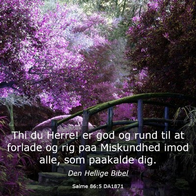 Picture 03 - Salme 86:5 DA1871 - Thi du Herre! er god og rund til at forlade og - Bible Verse Picture