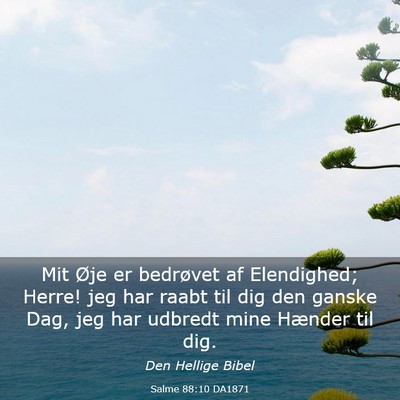 Picture 03 - Salme 88:10 DA1871 - Mit Øje er bedrøvet af Elendighed; Herre! jeg - Bible Verse Picture