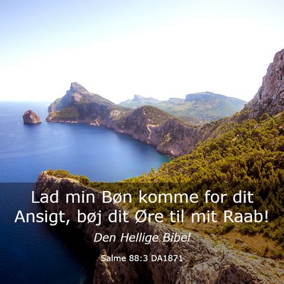 Picture 03 - Salme 88:3 DA1871 - Lad min Bøn komme for dit Ansigt, bøj dit Øre - Bible Verse Picture