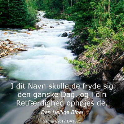 Picture 03 - Salme 89:17 DA1871 - I dit Navn skulle de fryde sig den ganske Dag, og - Bible Verse Picture