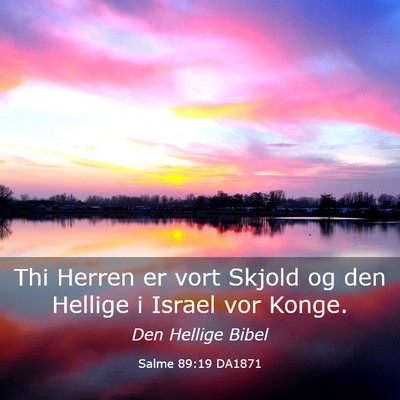 Picture 03 - Salme 89:19 DA1871 - Thi Herren er vort Skjold og den Hellige i Israel - Bible Verse Picture