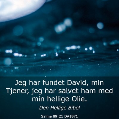 Picture 03 - Salme 89:21 DA1871 - Jeg har fundet David, min Tjener, jeg har salvet - Bible Verse Picture
