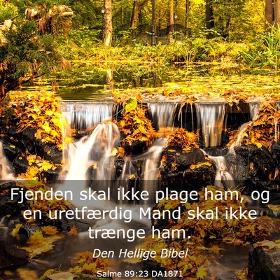 Picture 03 - Salme 89:23 DA1871 - Fjenden skal ikke plage ham, og en uretfærdig - Bible Verse Picture