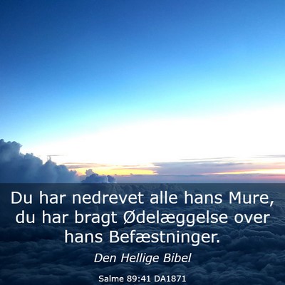 Picture 03 - Salme 89:41 DA1871 - Du har nedrevet alle hans Mure, du har bragt - Bible Verse Picture
