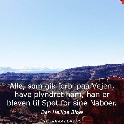 Picture 03 - Salme 89:42 DA1871 - Alle, som gik forbi paa Vejen, have plyndret ham, - Bible Verse Picture