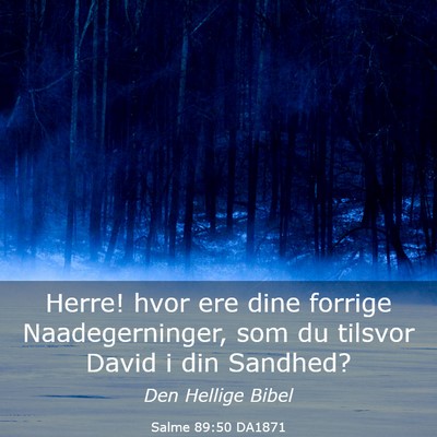 Picture 03 - Salme 89:50 DA1871 - Herre! hvor ere dine forrige Naadegerninger, som - Bible Verse Picture