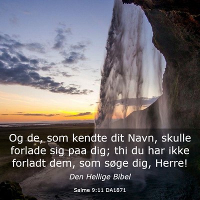 Picture 03 - Salme 9:11 DA1871 - Og de, som kendte dit Navn, skulle forlade sig - Bible Verse Picture