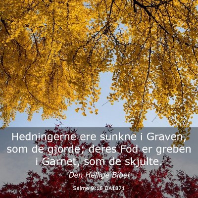 Picture 03 - Salme 9:16 DA1871 - Hedningerne ere sunkne i Graven, som de gjorde; - Bible Verse Picture