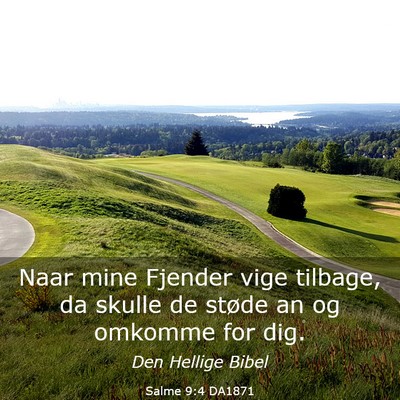 Picture 03 - Salme 9:4 DA1871 - Naar mine Fjender vige tilbage, da skulle de - Bible Verse Picture