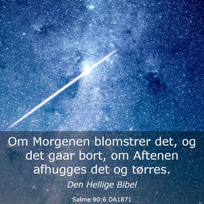 Picture 03 - Salme 90:6 DA1871 - Om Morgenen blomstrer det, og det gaar bort, om - Bible Verse Picture