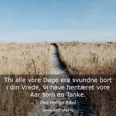 Picture 03 - Salme 90:9 DA1871 - Thi alle vore Dage ere svundne bort i din Vrede, - Bible Verse Picture