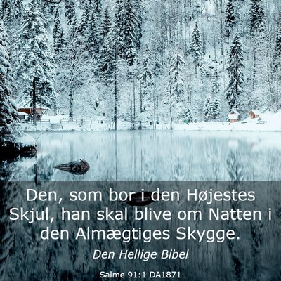 Picture 03 - Salme 91:1 DA1871 - Den, som bor i den Højestes Skjul, han skal - Bible Verse Picture