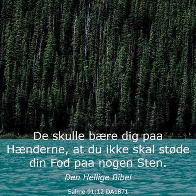 Picture 03 - Salme 91:12 DA1871 - De skulle bære dig paa Hænderne, at du ikke - Bible Verse Picture