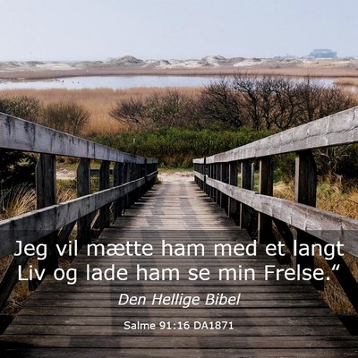 Picture 03 - Salme 91:16 DA1871 - Jeg vil mætte ham med et langt Liv og lade ham - Bible Verse Picture