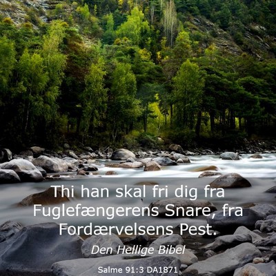 Picture 03 - Salme 91:3 DA1871 - Thi han skal fri dig fra Fuglefængerens Snare, - Bible Verse Picture