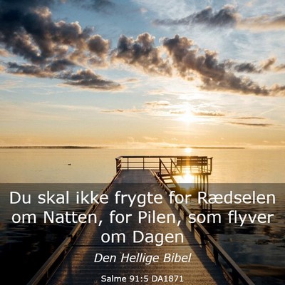 Picture 03 - Salme 91:5 DA1871 - Du skal ikke frygte for Rædselen om Natten, for - Bible Verse Picture