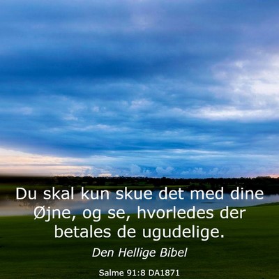 Picture 03 - Salme 91:8 DA1871 - Du skal kun skue det med dine Øjne, og se, - Bible Verse Picture