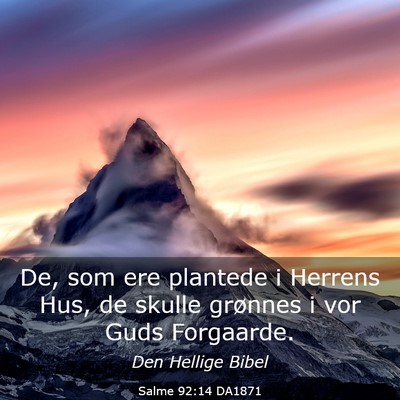 Picture 03 - Salme 92:14 DA1871 - De, som ere plantede i Herrens Hus, de skulle - Bible Verse Picture