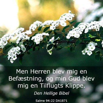 Picture 03 - Salme 94:22 DA1871 - Men Herren blev mig en Befæstning, og min Gud - Bible Verse Picture