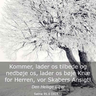 Picture 03 - Salme 95:6 DA1871 - Kommer, lader os tilbede og nedbøje os, lader os - Bible Verse Picture