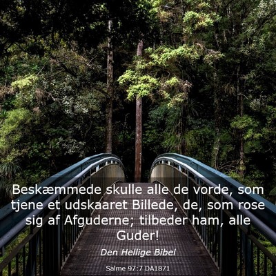 Picture 03 - Salme 97:7 DA1871 - Beskæmmede skulle alle de vorde, som tjene et - Bible Verse Picture