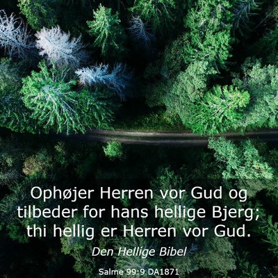 Picture 03 - Salme 99:9 DA1871 - Ophøjer Herren vor Gud og tilbeder for hans - Bible Verse Picture