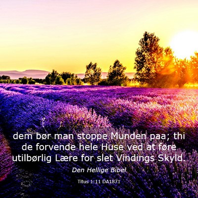 Picture 03 - Titus 1:11 DA1871 - dem bør man stoppe Munden paa; thi de forvende - Bible Verse Picture