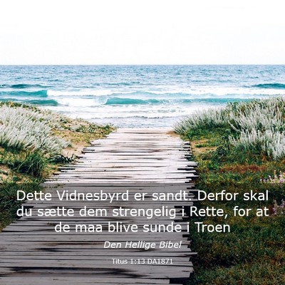 Picture 03 - Titus 1:13 DA1871 - Dette Vidnesbyrd er sandt. Derfor skal du sætte - Bible Verse Picture