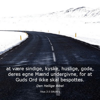 Picture 03 - Titus 2:5 DA1871 - at være sindige, kyske, huslige, gode, deres - Bible Verse Picture