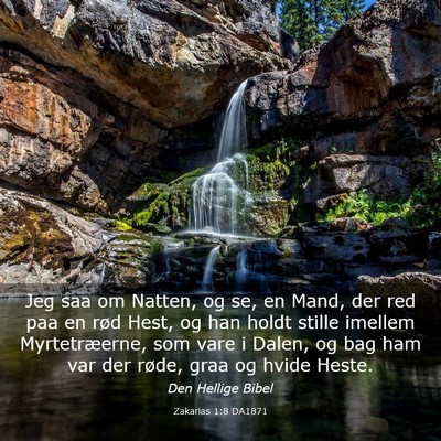 Picture 03 - Zakarias 1:8 DA1871 - Jeg saa om Natten, og se, en Mand, der red paa en - Bible Verse Picture