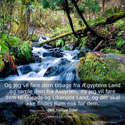 Picture 03 - Zakarias 10:10 DA1871 - Og jeg vil føre dem tilbage fra Ægyptens Land - Bible Verse Picture