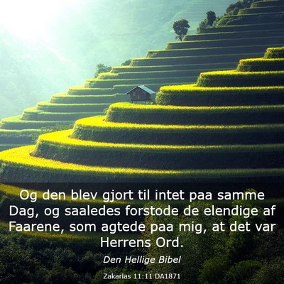 Picture 03 - Zakarias 11:11 DA1871 - Og den blev gjort til intet paa samme Dag, og - Bible Verse Picture