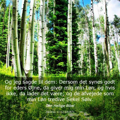 Picture 03 - Zakarias 11:12 DA1871 - Og jeg sagde til dem: Dersom det synes godt for - Bible Verse Picture