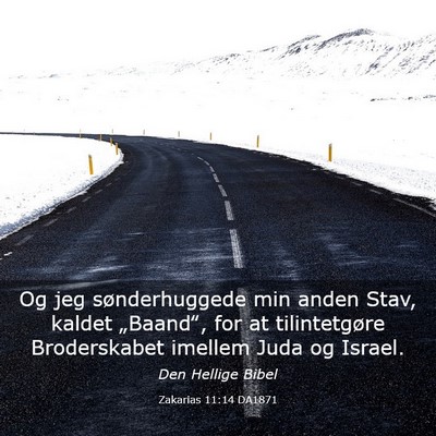 Picture 03 - Zakarias 11:14 DA1871 - Og jeg sønderhuggede min anden Stav, kaldet - Bible Verse Picture