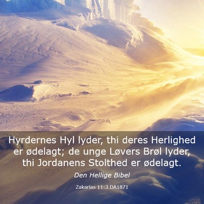 Picture 03 - Zakarias 11:3 DA1871 - Hyrdernes Hyl lyder, thi deres Herlighed er - Bible Verse Picture