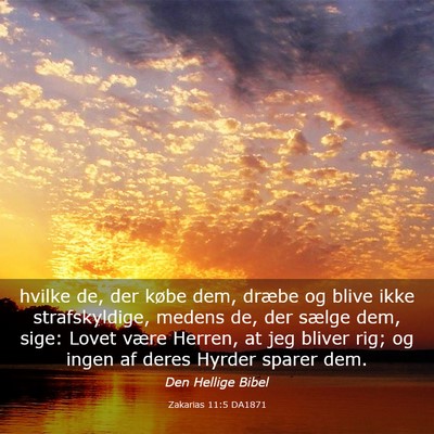 Picture 03 - Zakarias 11:5 DA1871 - hvilke de, der købe dem, dræbe og blive ikke - Bible Verse Picture