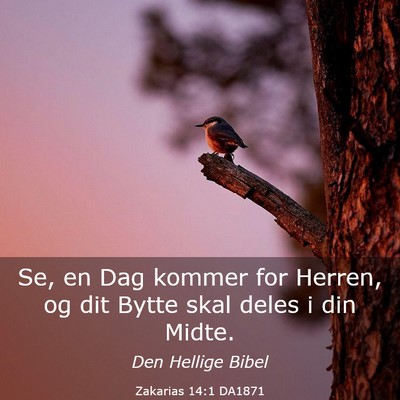 Picture 03 - Zakarias 14:1 DA1871 - Se, en Dag kommer for Herren, og dit Bytte skal - Bible Verse Picture