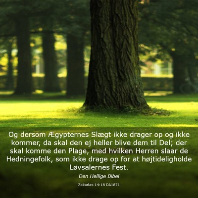 Picture 03 - Zakarias 14:18 DA1871 - Og dersom Ægypternes Slægt ikke drager op og - Bible Verse Picture
